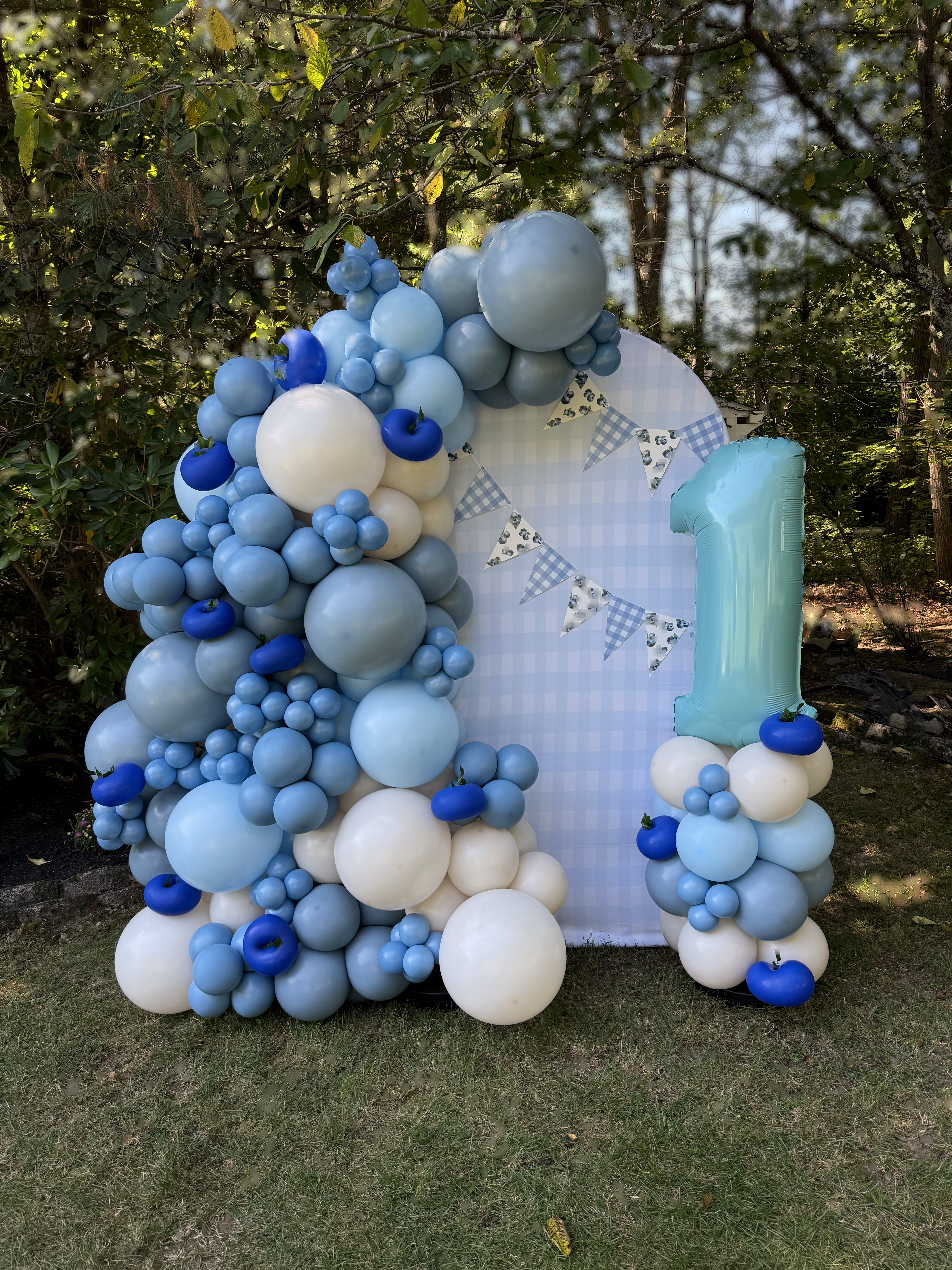 Themed Backdrops